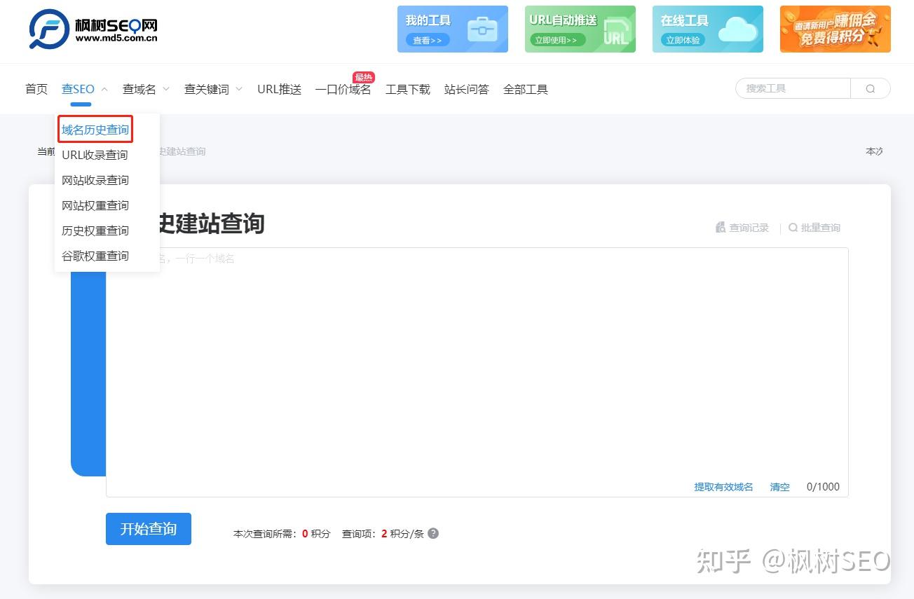 网站域名查询全攻略：从基础方法到高级技巧解析