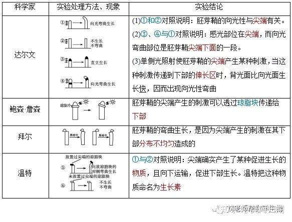 请问有大神可以把生长素的发现历程编成一个绕口令吗