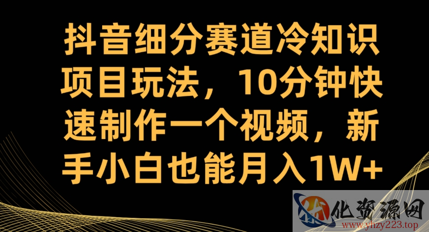 抖音细分赛道冷知识项目玩法，10分钟快速制作一个视频，新手小白也能月入1W+【揭秘】