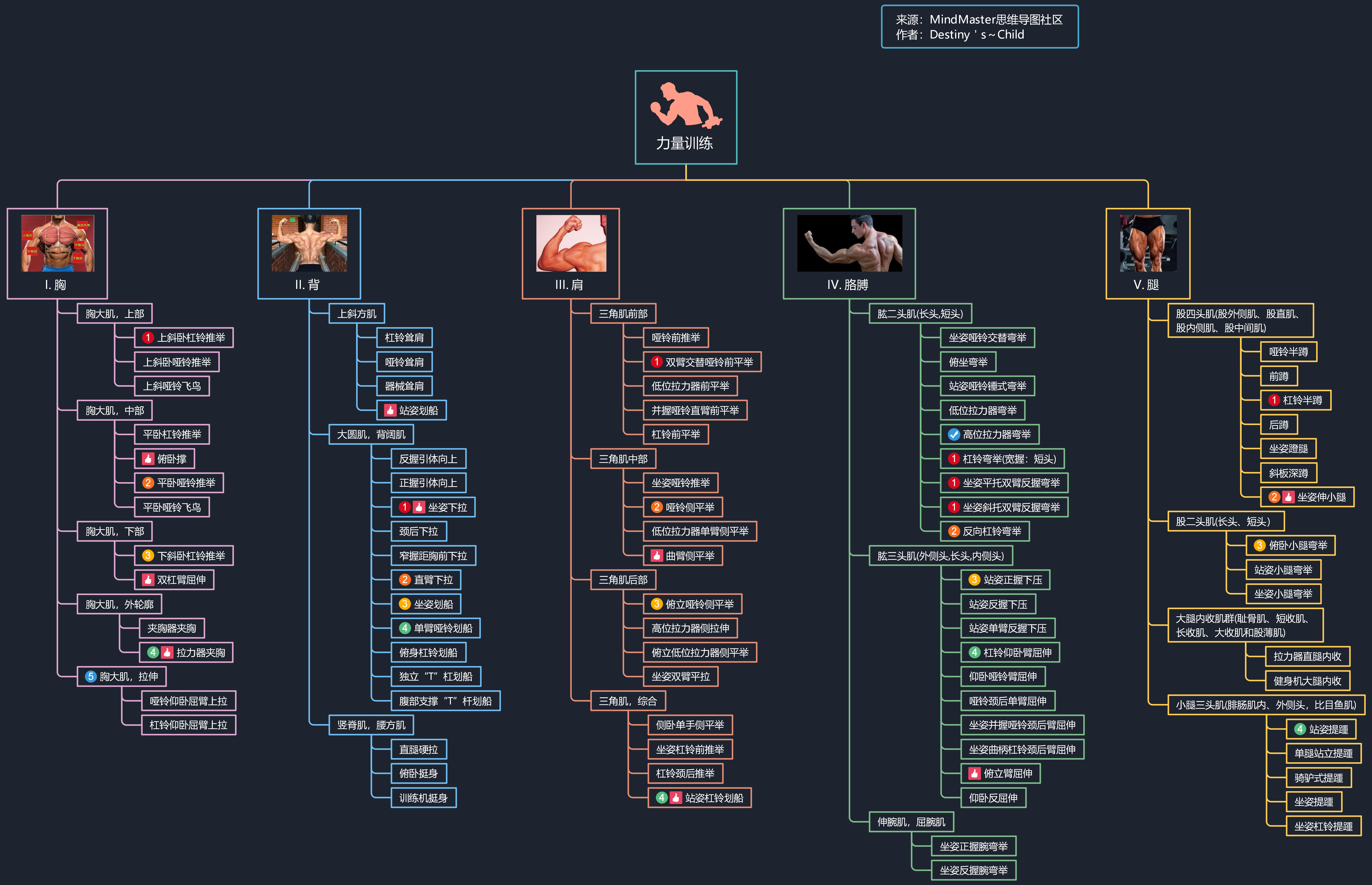 请问这种树状图是使用什么软件画出来的
