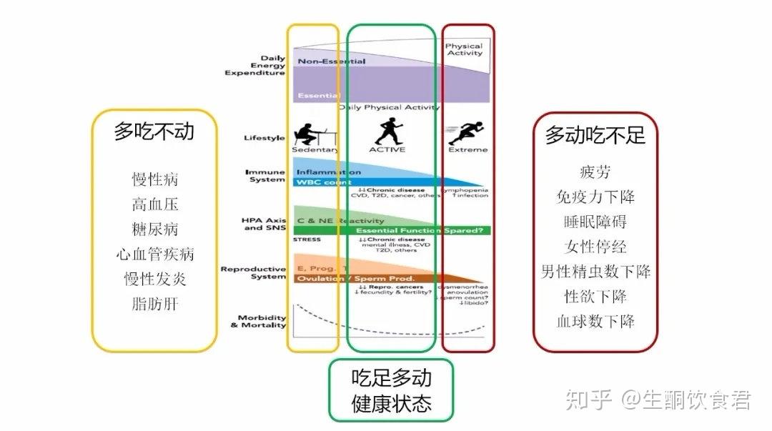 运动强度越高、时间越长,消耗的总能量越多吗? - 知乎