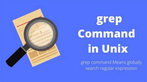 Linux 中 Grep 命令的常见示例，很全面！ - 知乎