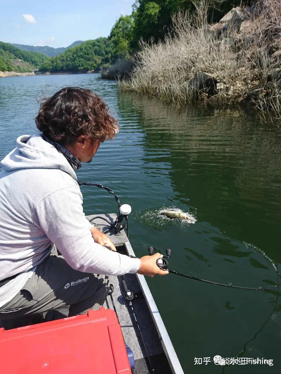 垂钓技巧丨路亚鲈鱼收卷线的2大原则zpi伊藤雄大