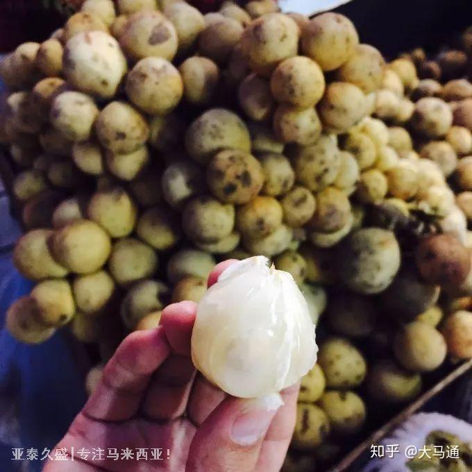 马来西亚的老鼠粉你敢吃吗!