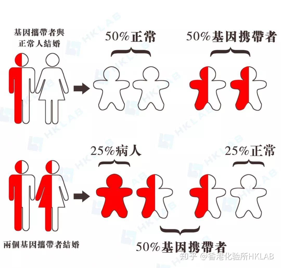 一般来说,如果两名属同一类型的地中海贫血患者结合,便有机会生下重型