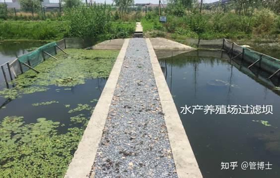 全域治尾水全面促转型德清县开启淡水鱼绿色生态养殖新时代