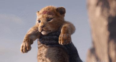 推荐bbc9 5分神级纪录片 真实的动物世界 比动画里残酷一万倍 知乎