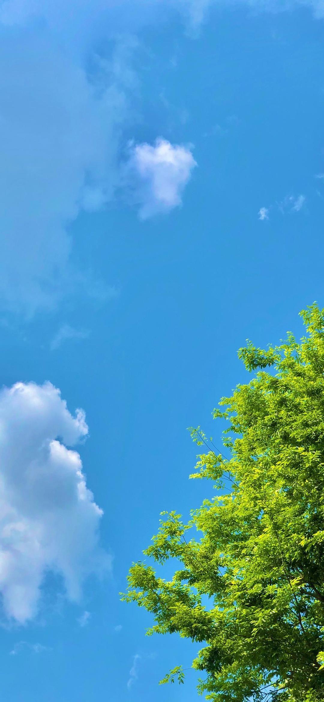 有没有比较温柔的背景图
