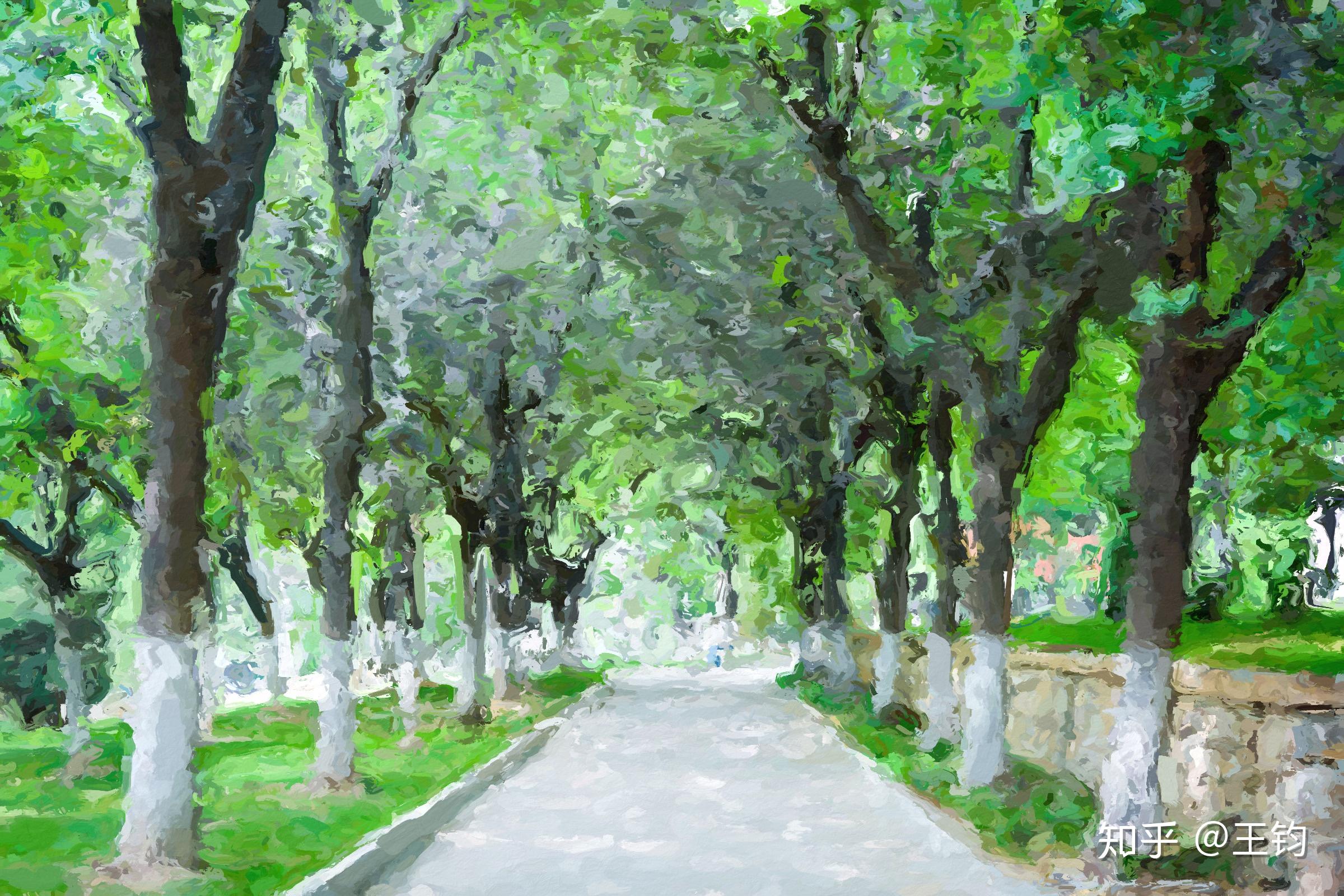 想知道glaze上的这几个油画滤镜从专业的角度看有什么区别呢