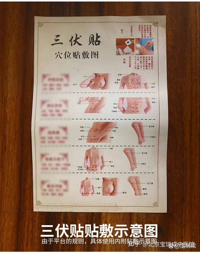 三伏贴贴敷部位图