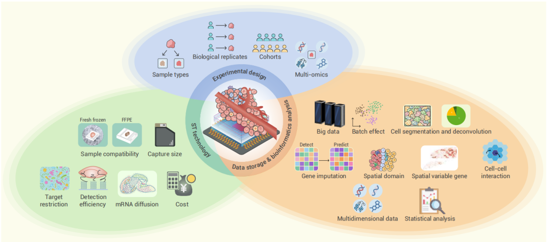 空间转录组学在癌症研究中的应用和机遇 - 知乎