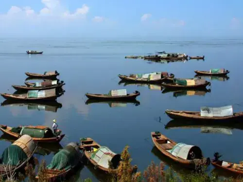 在美麗的鄱湖之畔,廣袤肥沃的饒州大地上,鄱陽人民世世代代依偎著湖水