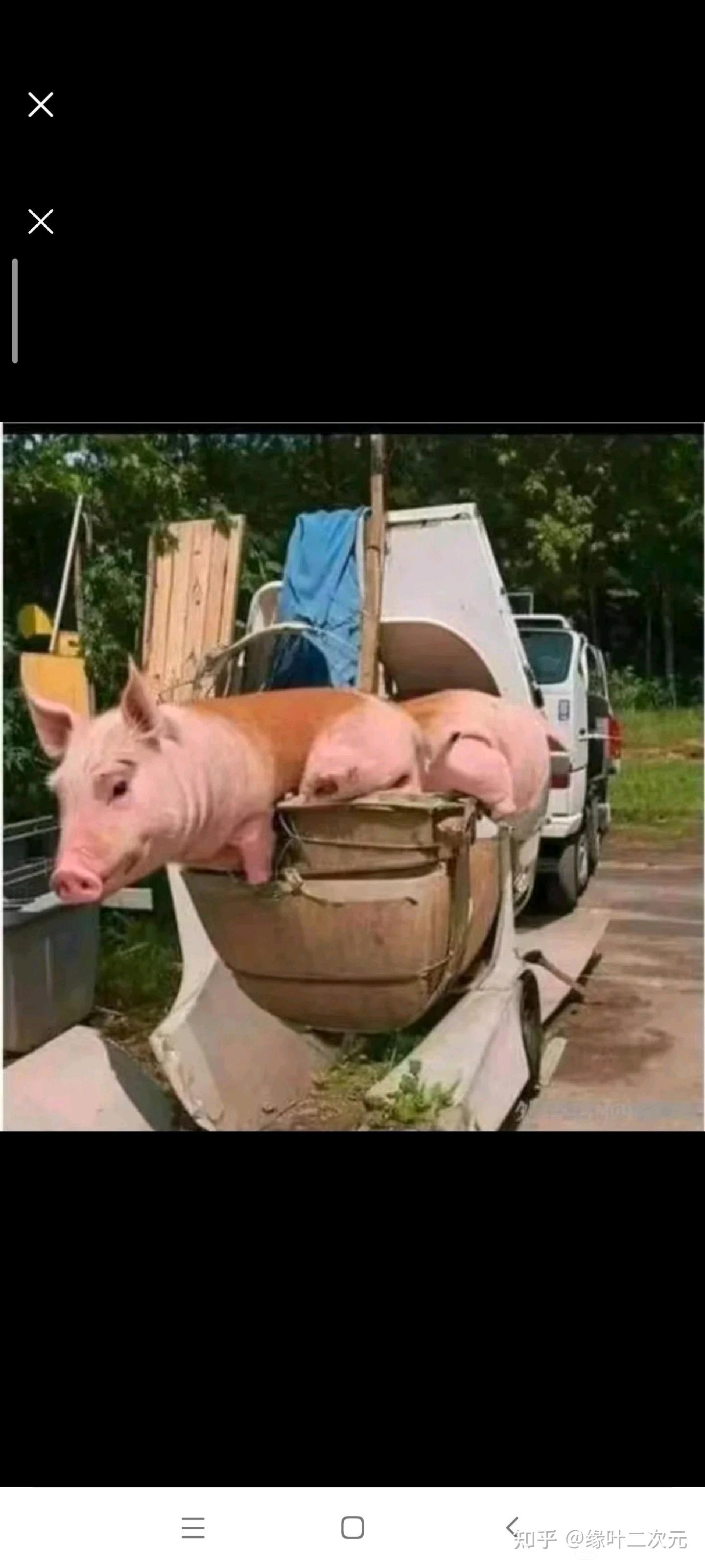 太对不起梅西了!冰红茶梗图实在太欢乐