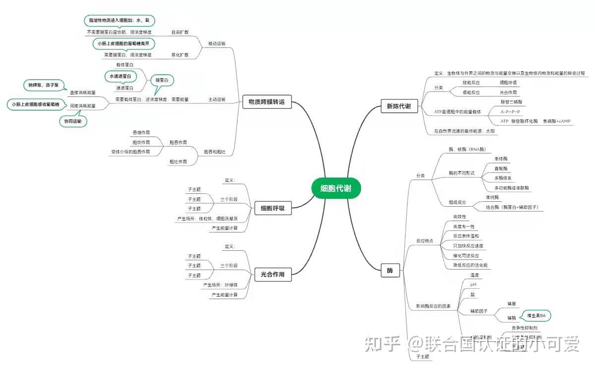 细胞代谢思维导图