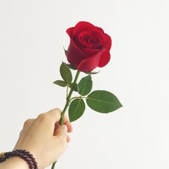 求婚创意,求婚现场布置,浪漫求婚【附求婚攻略及流程干货】