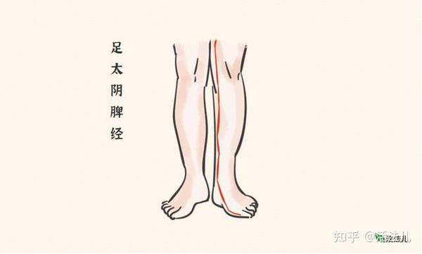 夏至过后,补脾的时节到了,记得做好这4件事,补好脾肾平安度夏 - 知乎