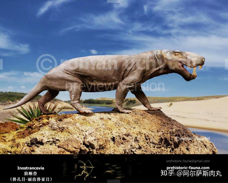 猎猫丨巴博剑齿虎篇