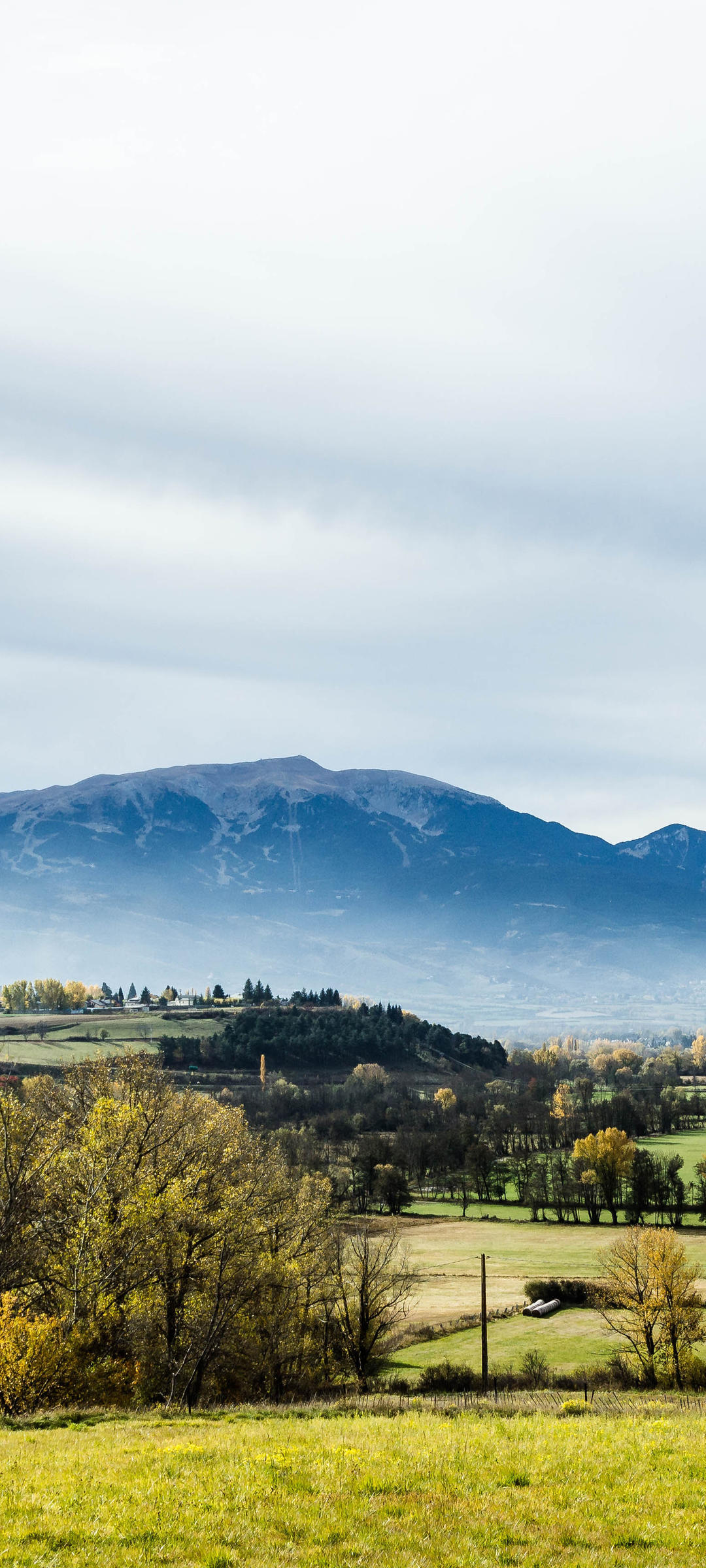 1080_2400竖版 竖屏