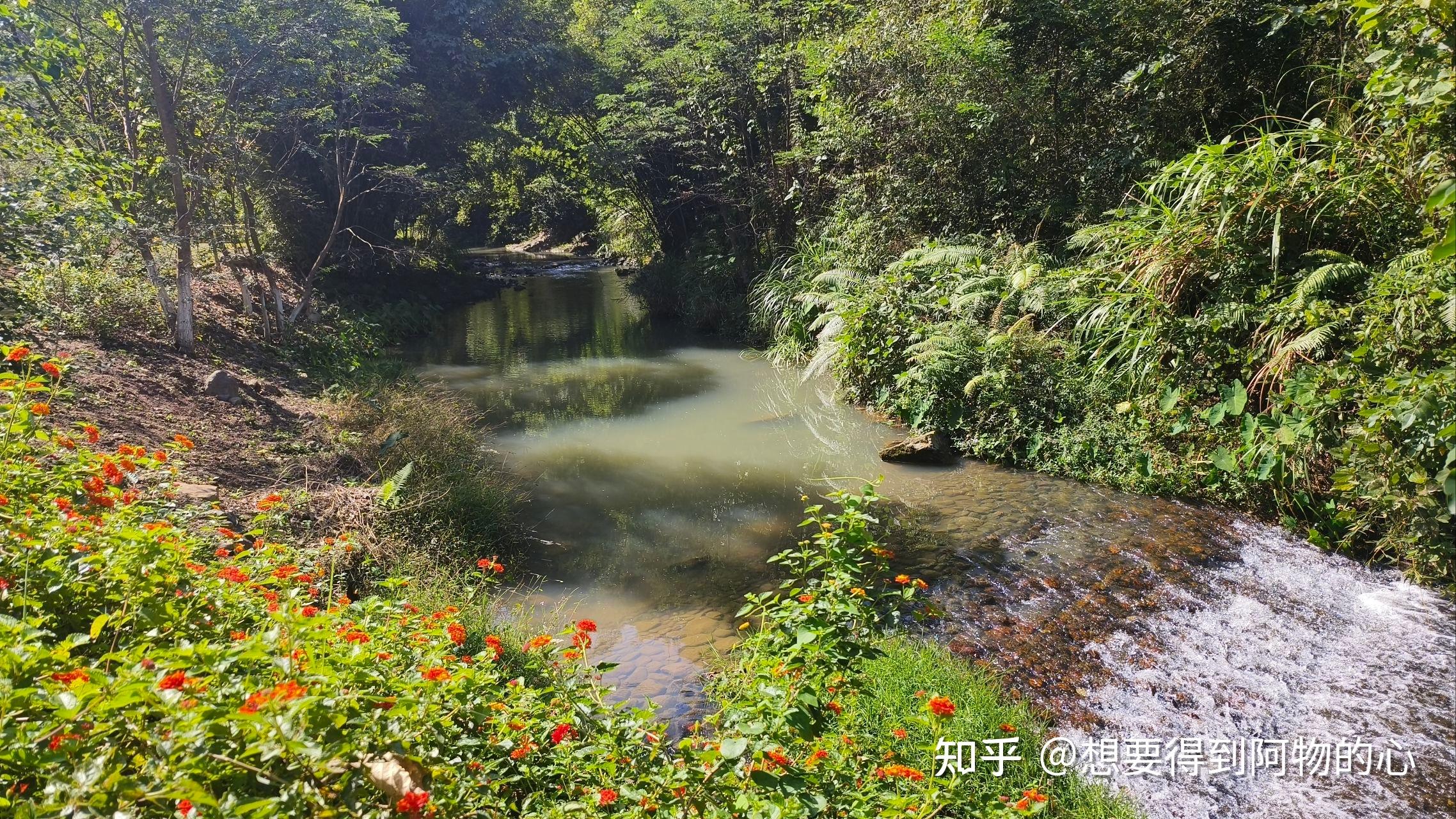 沙县如意湖湿地公园图片