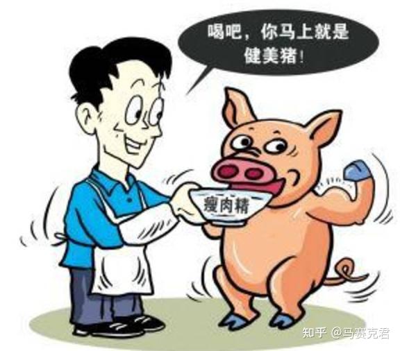 对于人来说,过量摄入瘦肉精会诱发急性食物中毒,导致机体出现面色潮红