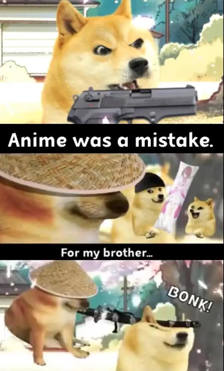 那只表情包里的废柴狗，如今是全世界肥宅的正义Doge - 知乎