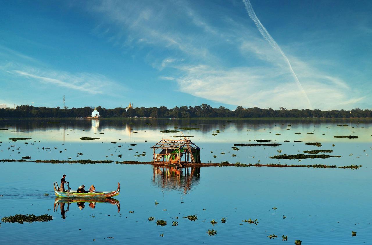 3. 缅鸡零售价目表