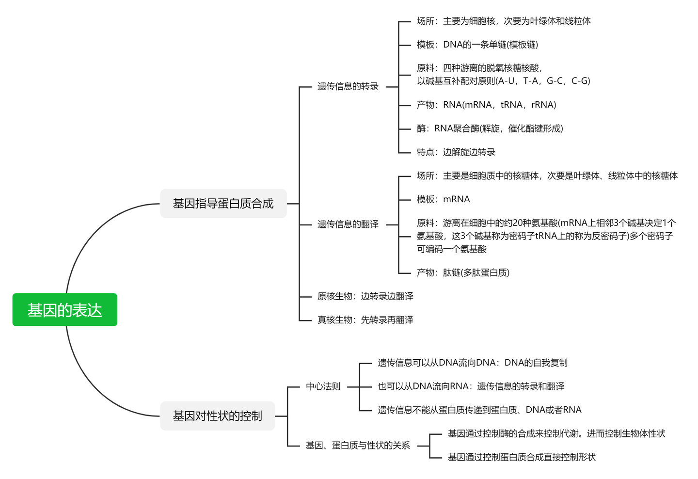 高中生物思维导图人教版知识框架图