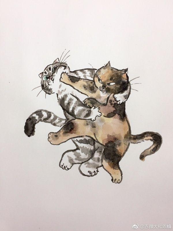 请问猫绝育后依然很野怎么办?