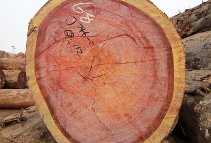 奢侈家具才用的紫金檀木有人拿去做菜板了