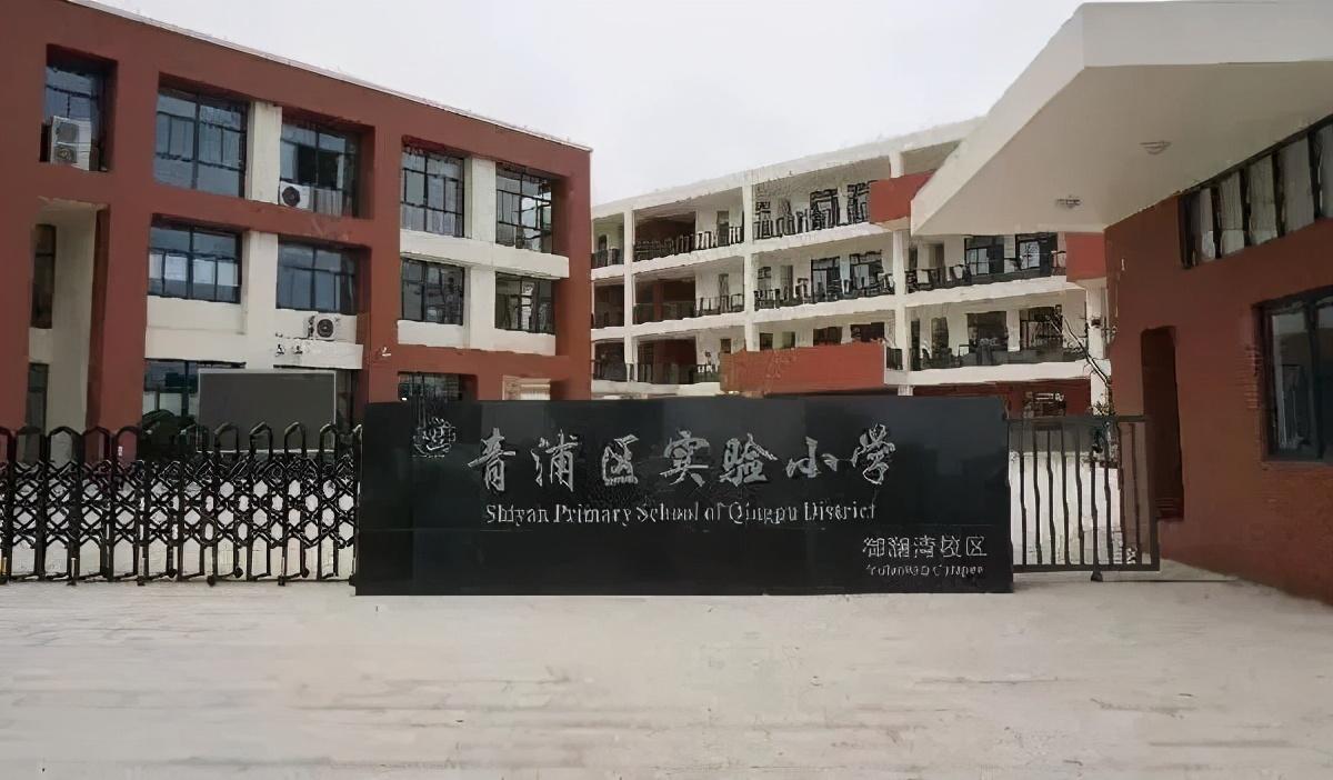 平和双语国际学校,复旦五浦汇实验学校,复旦附中青浦分校,兰生复旦(在
