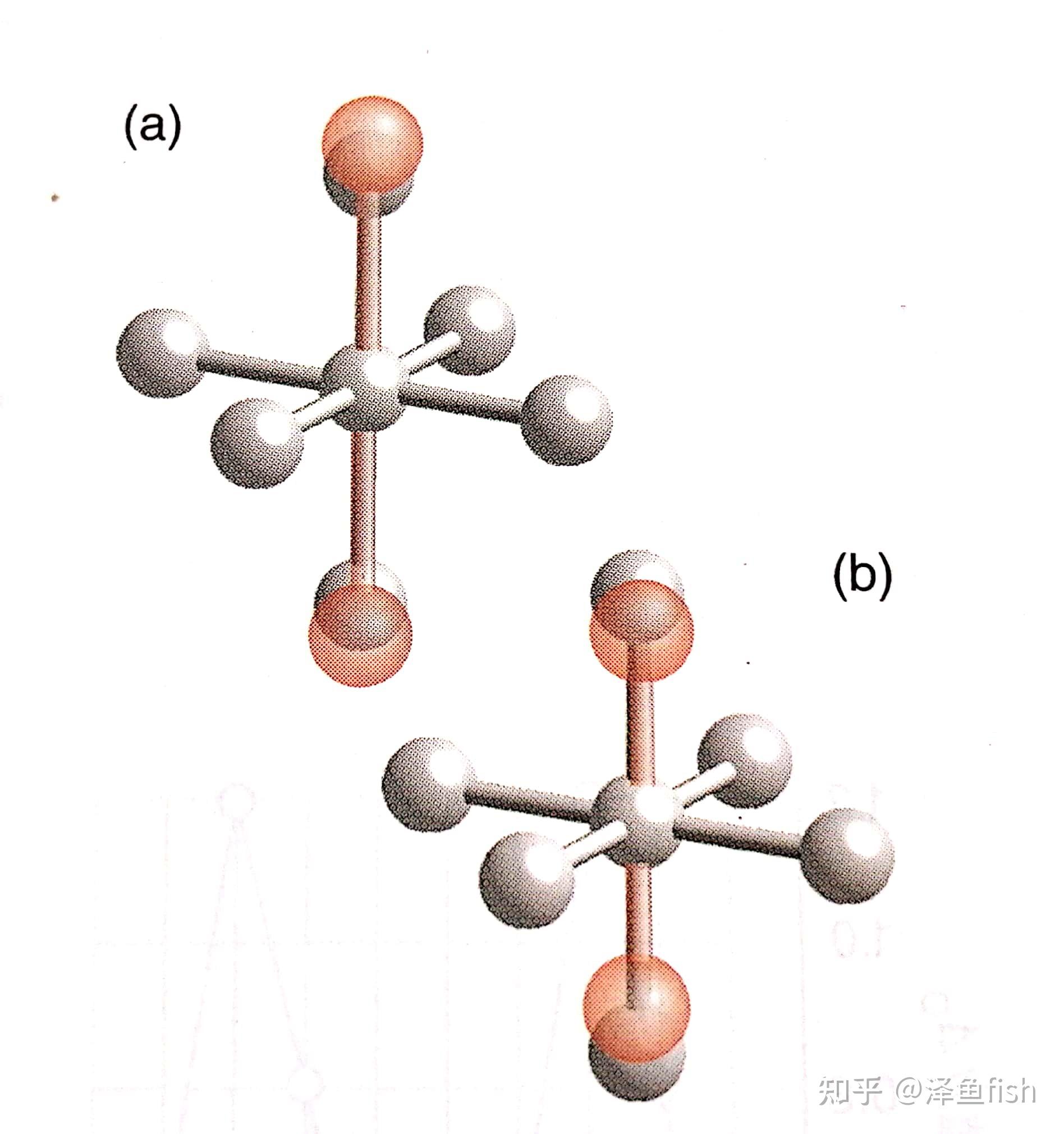 八面体对称性图片