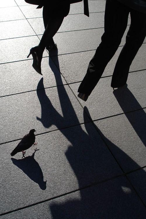 最会照顾人的护士型性格isfj职业规划与升职加薪指南 知乎 最会照顾人的护士型性格isfj职业规划与升职加薪指南 知乎