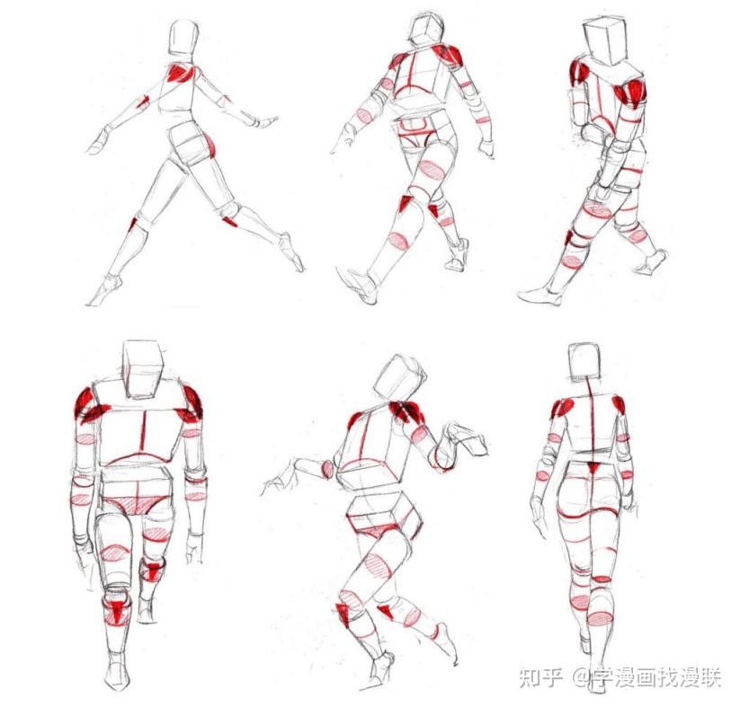 画走姿时要注意四肢的圆柱体的摆动关系,多注意圆柱体的圆切面和脊椎