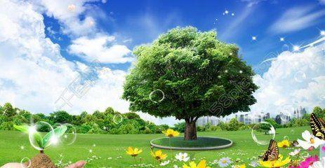 v2-5021fc51550ada5f362012bd7b707d57_1440w.jpg
