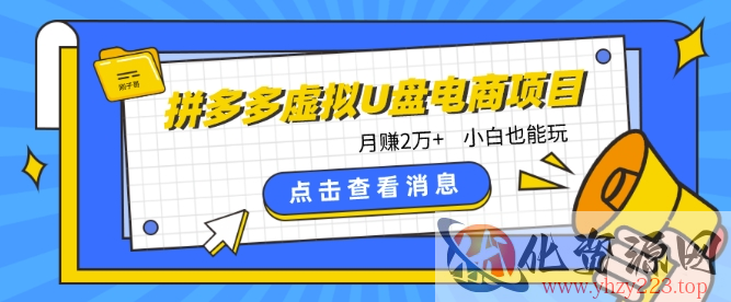 拼多多虚拟U盘电商红利项目：月赚2万+，新手小白也能玩