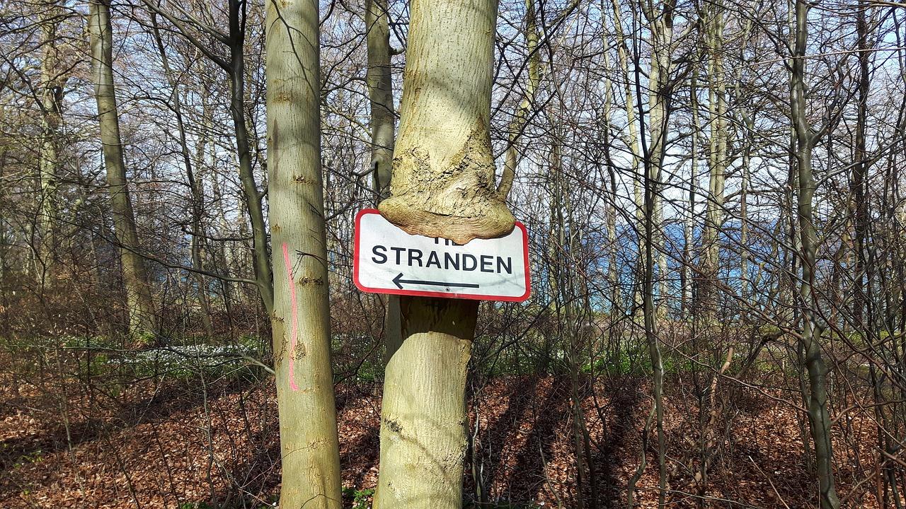 4. 木塑材木材比