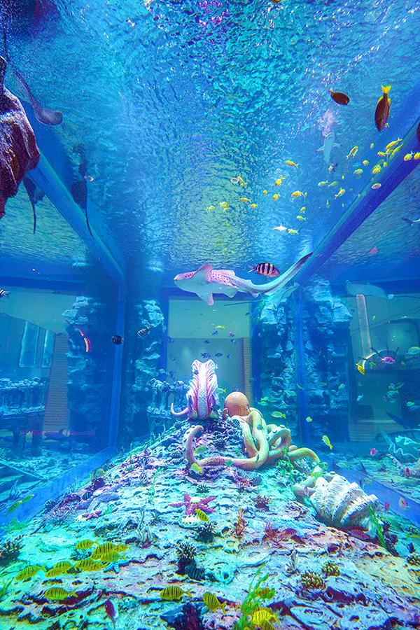 六一去哪玩云南抚仙湖最全攻略总有一款让你满意