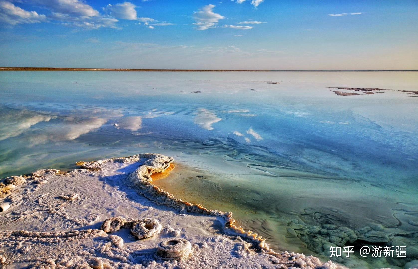 新疆若羌:罗布泊盐花竞相"绽放" - 知乎