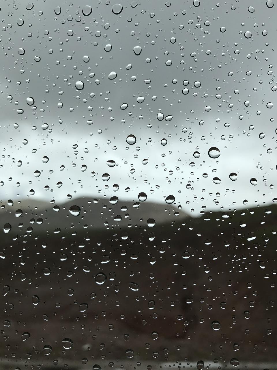 四季变换的校园景