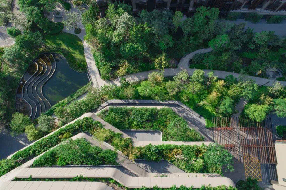 在疗愈性景观或老年人社区景观设计中有哪些值得注意的细节