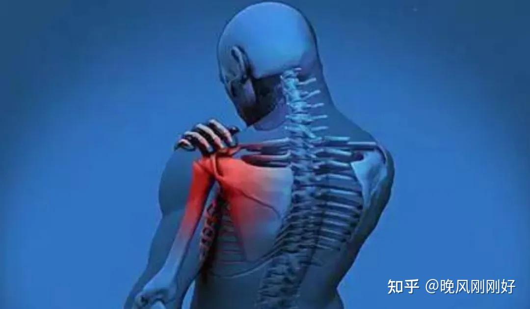 产生痹症的原因，痹症病因病机，中医对痹症的辩证，痹症的治疗 - 知乎