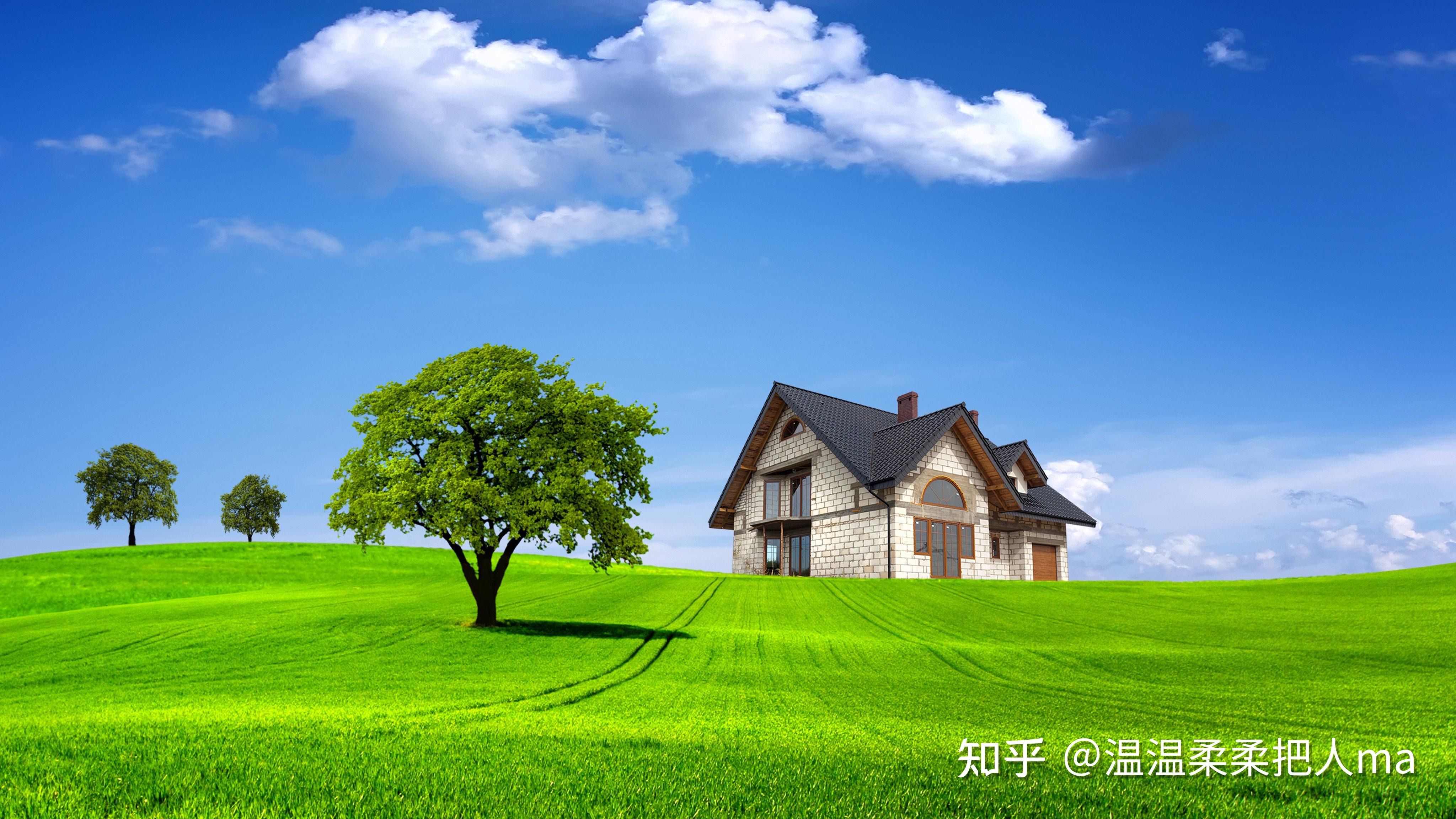 表姐带着快结婚的男友去姥家吃饭,表姐发脾气,我为