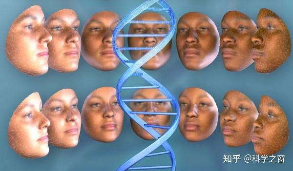 不同种族从哪来? - 知乎