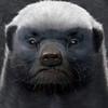 user-profile-image