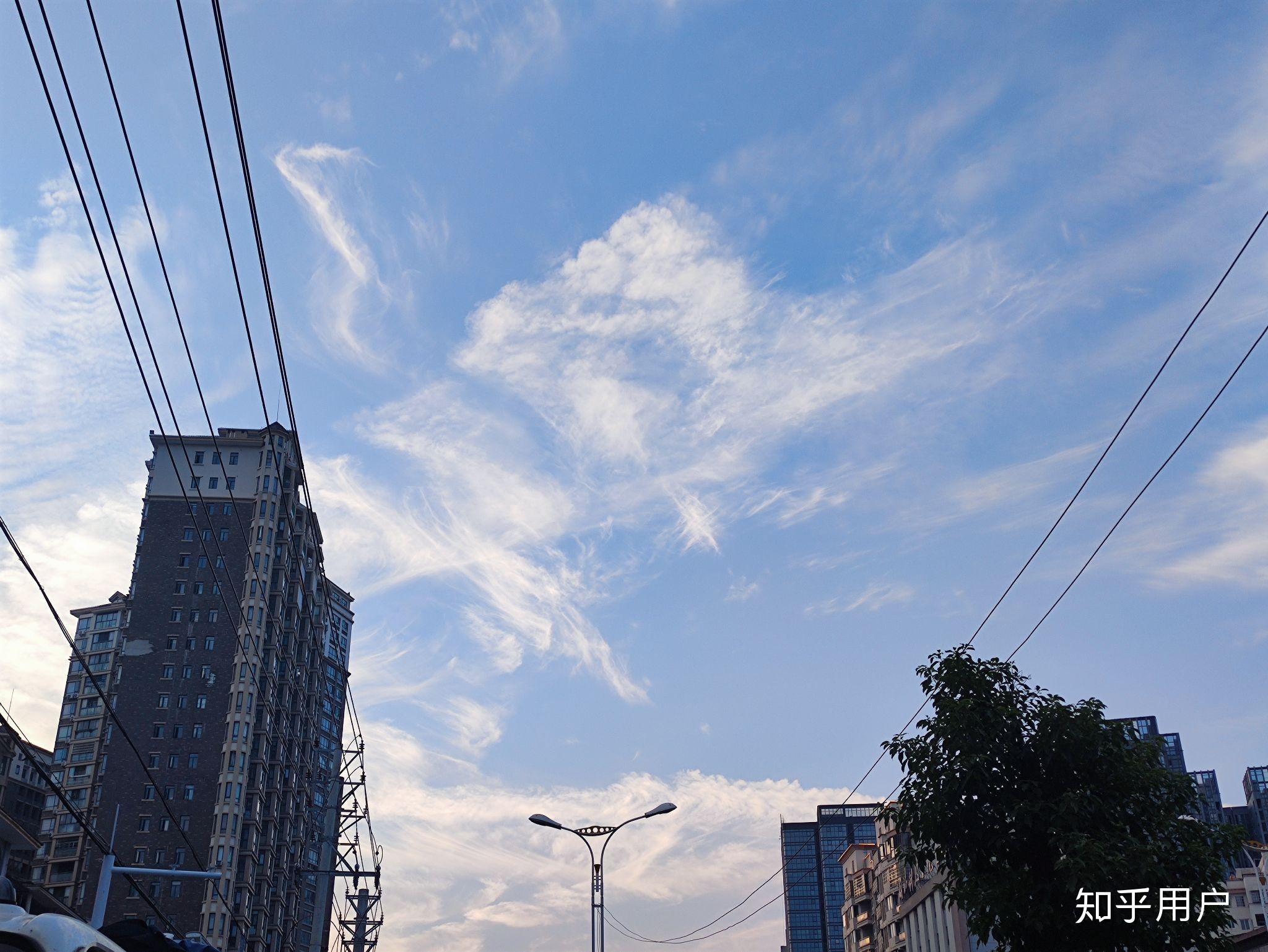 你最有意义的一张照片是什么样子? - 知乎