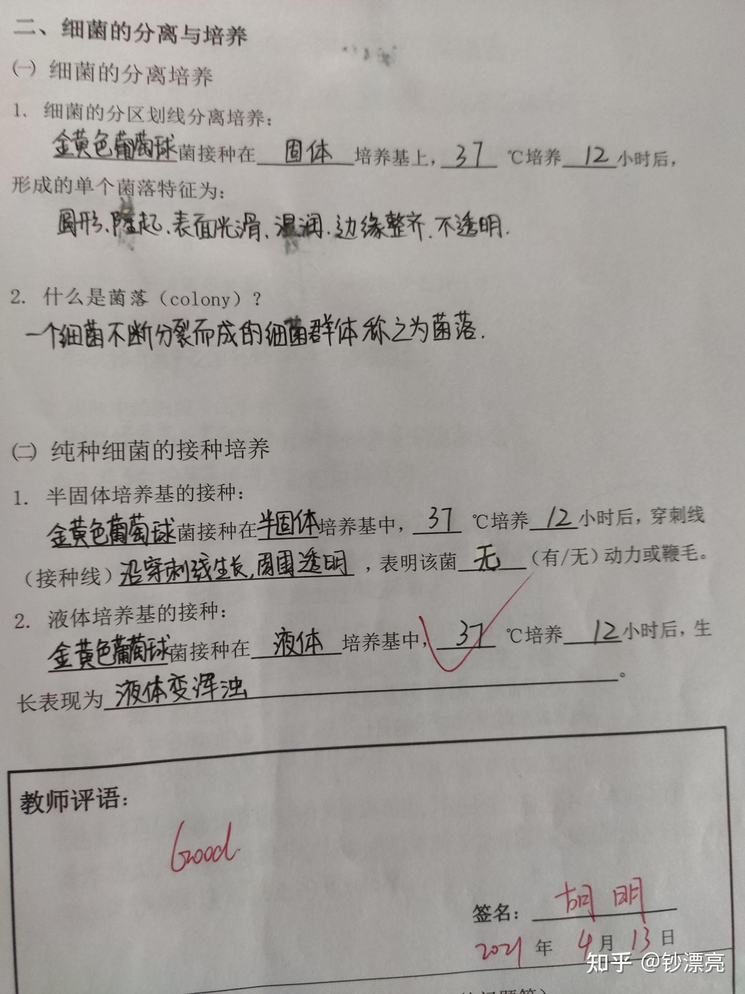 微生物实验报告