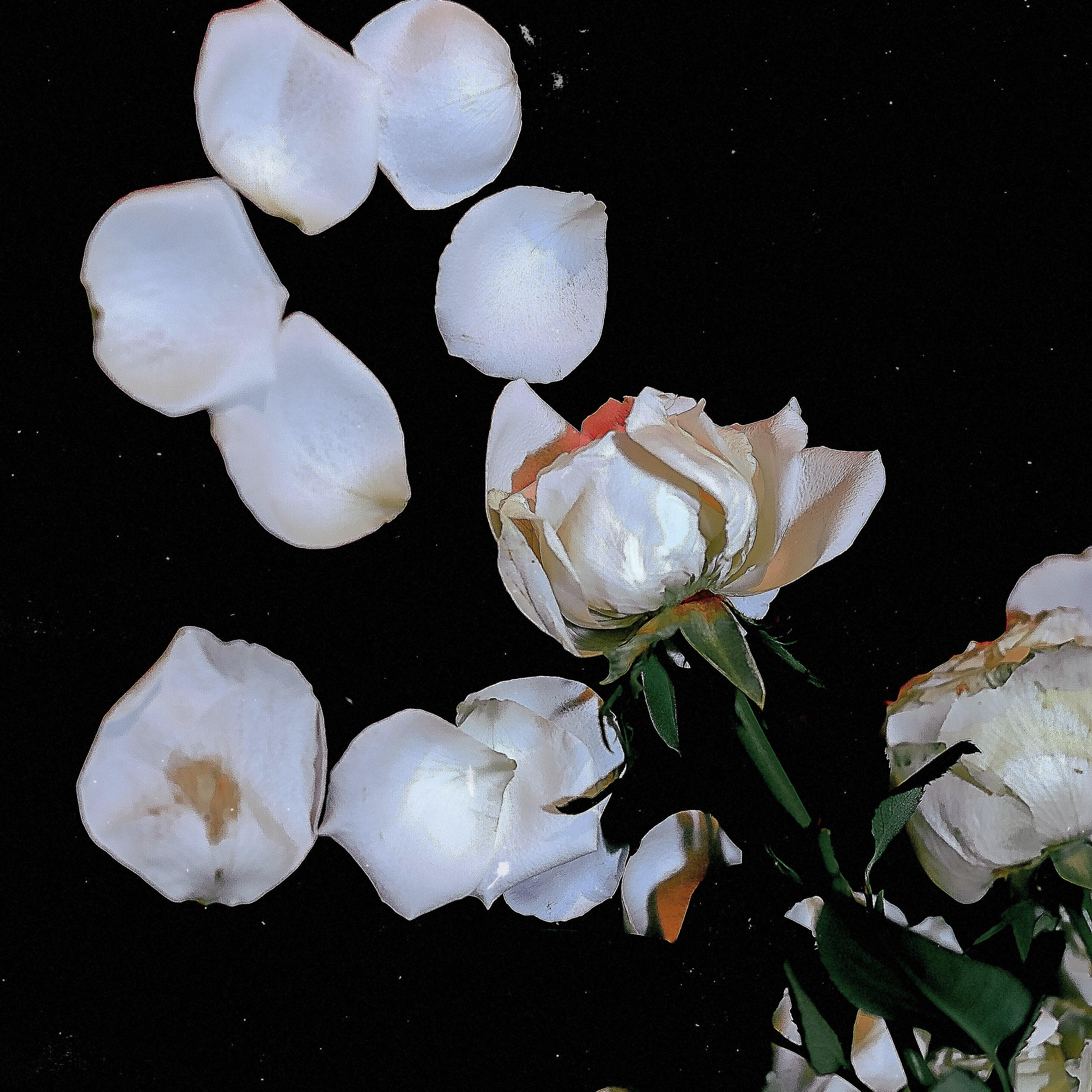 好看的微信朋友圈背景图无水印的大家一起分享一下