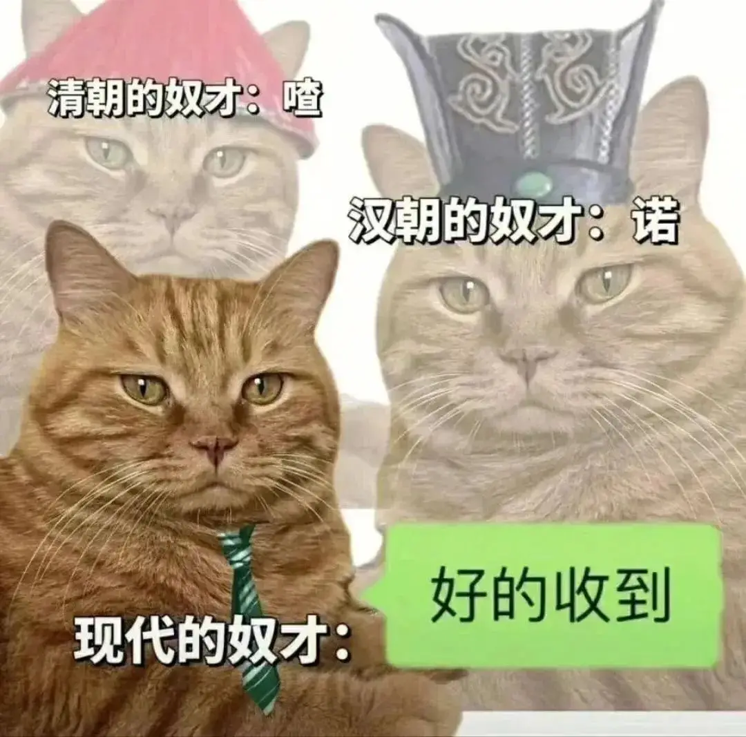 领导喜欢看人下菜欺负老实人，应该硬刚还是委屈求全？