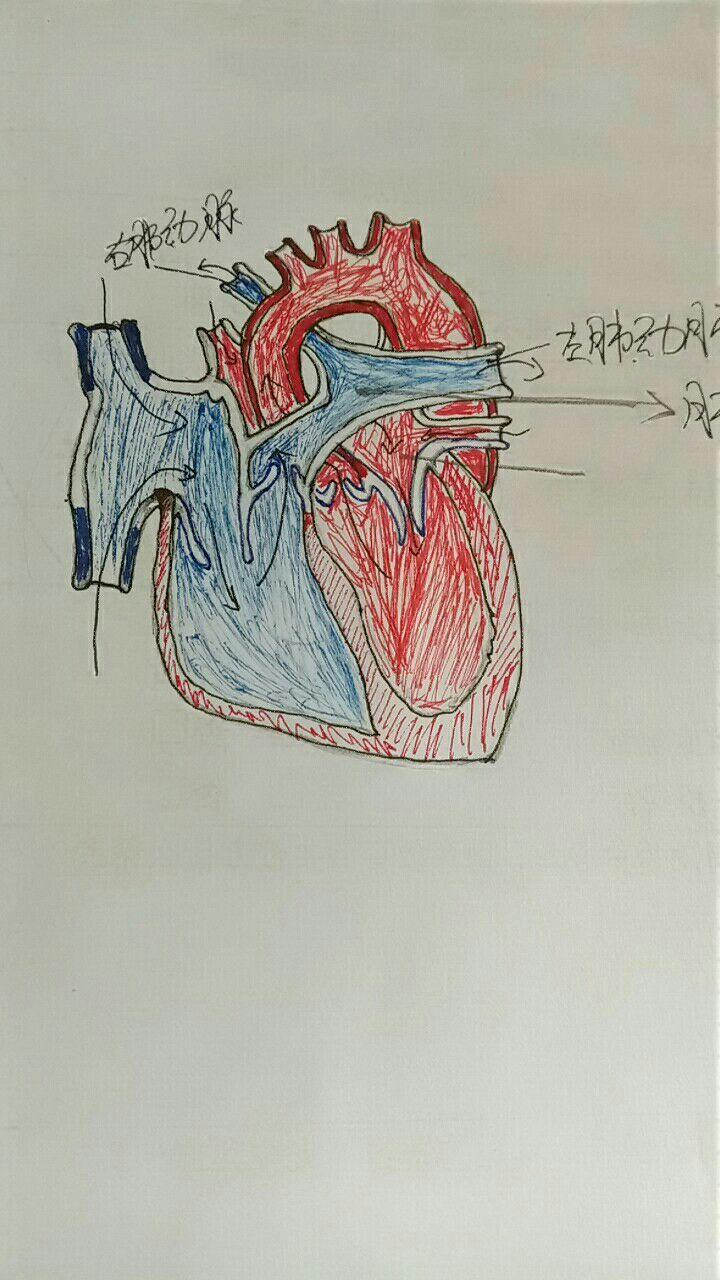 学医后,对你人生最大的影响或改变是什么?