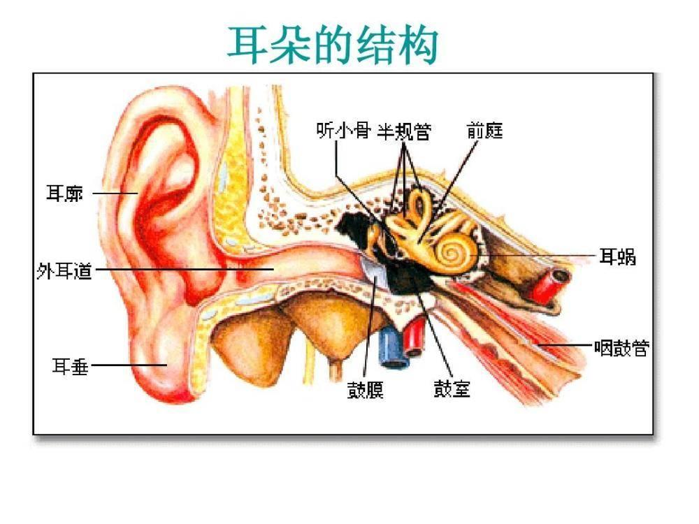 v2-50aed60a87a605f38eff6381c1112835_1440w.jpg?source=172ae18b